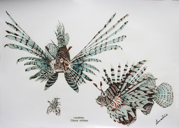 Lionfish (Blue)