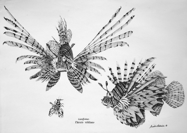 Lionfish (BW)