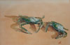 Crabs